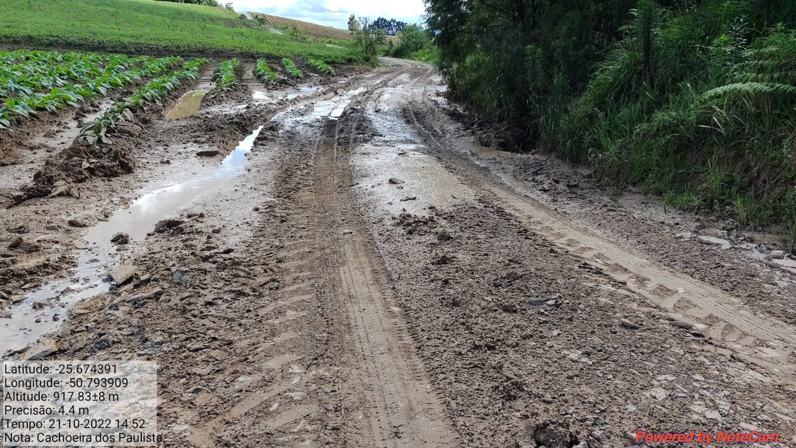 Tempestade em Colniza faz rio transbordar e alagar zona rural